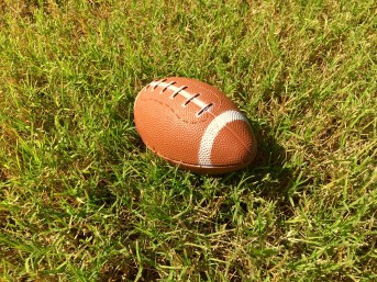 Football in grass
